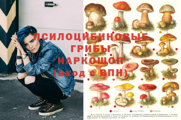 крисы Медногорск