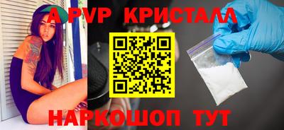 гашик Донской