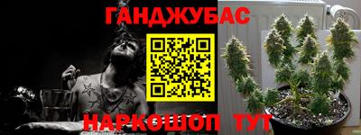 гашик Донской