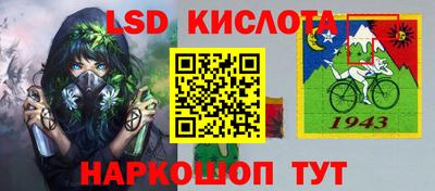 гашик Донской