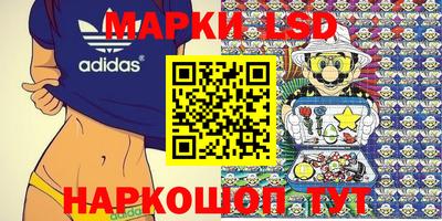 гашик Донской