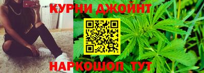 гашик Донской