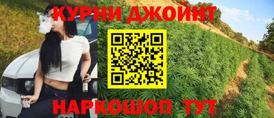 spice Дубна